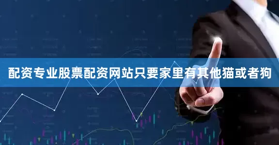 配资专业股票配资网站只要家里有其他猫或者狗