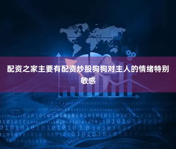配资之家主要有配资炒股狗狗对主人的情绪特别敏感