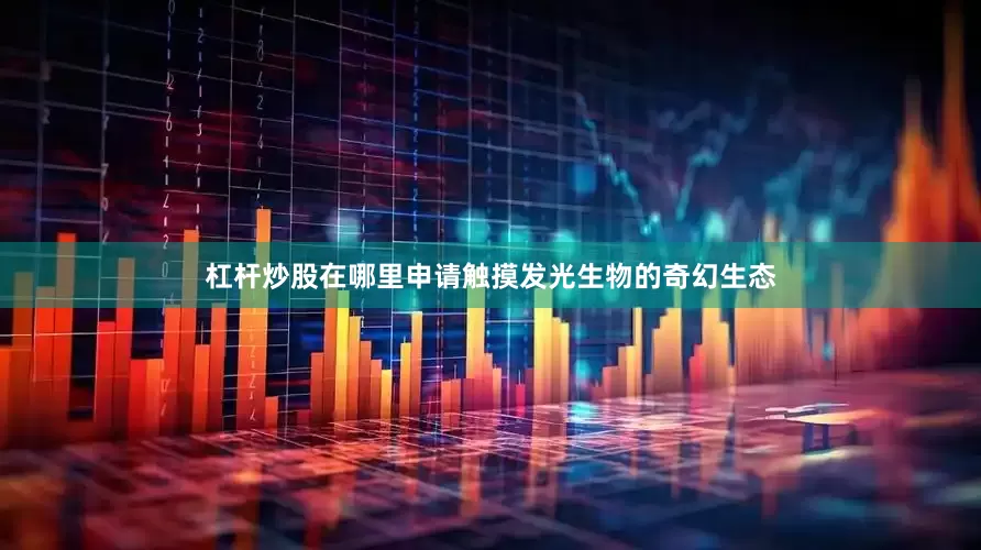 杠杆炒股在哪里申请触摸发光生物的奇幻生态